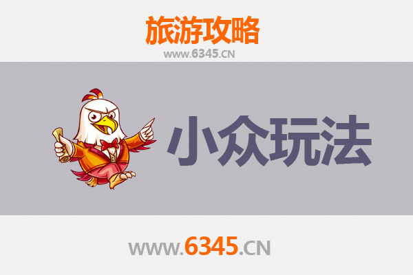嘉义梅山秘境探幽：茶园、古道与云海的小众之旅